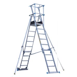 Professional Multi-Purpose A-Frame Ladder with Platform